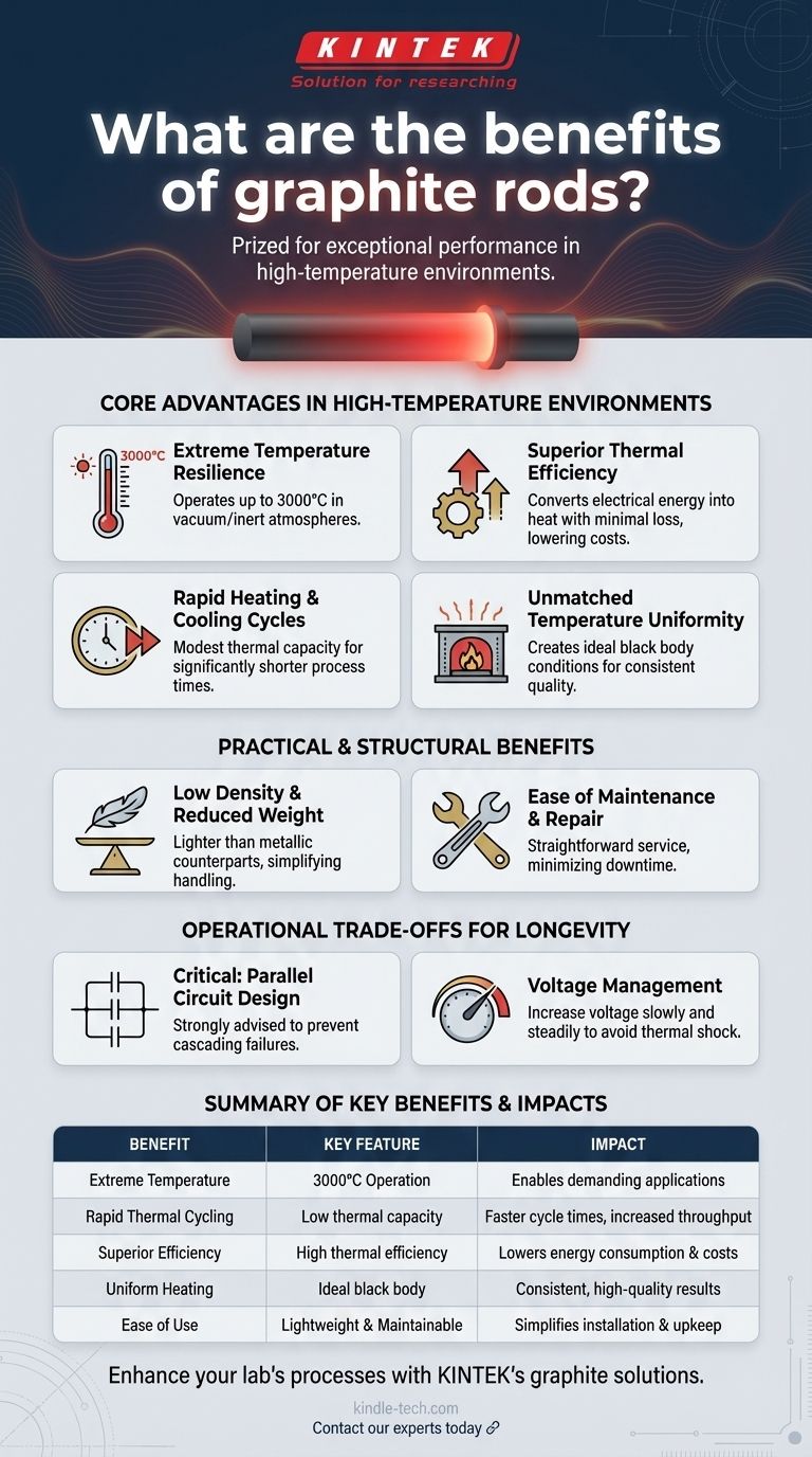 Quali sono i vantaggi delle barre di grafite? Ottieni prestazioni superiori alle alte temperature Guida Visiva
