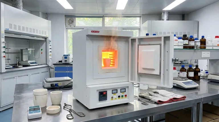 Qual é a diferença entre um forno e uma estufa de secagem? Escolhendo a Ferramenta Certa para o Seu Processo