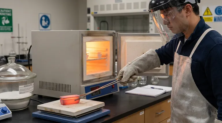 Quali sono le precauzioni di sicurezza per un crogiolo? Proteggi il tuo laboratorio dagli shock termici e dai pericoli