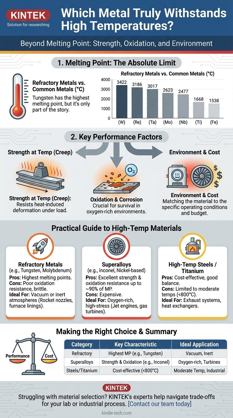 Quale metallo può resistere alle alte temperature? Scegliere il materiale giusto per il calore estremo Guida Visiva
