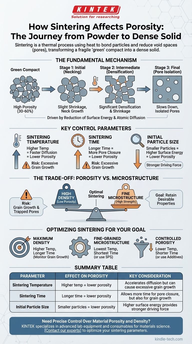 ¿Cómo afecta la sinterización a la porosidad? Domine el proceso térmico para una densidad de material precisa Guía Visual