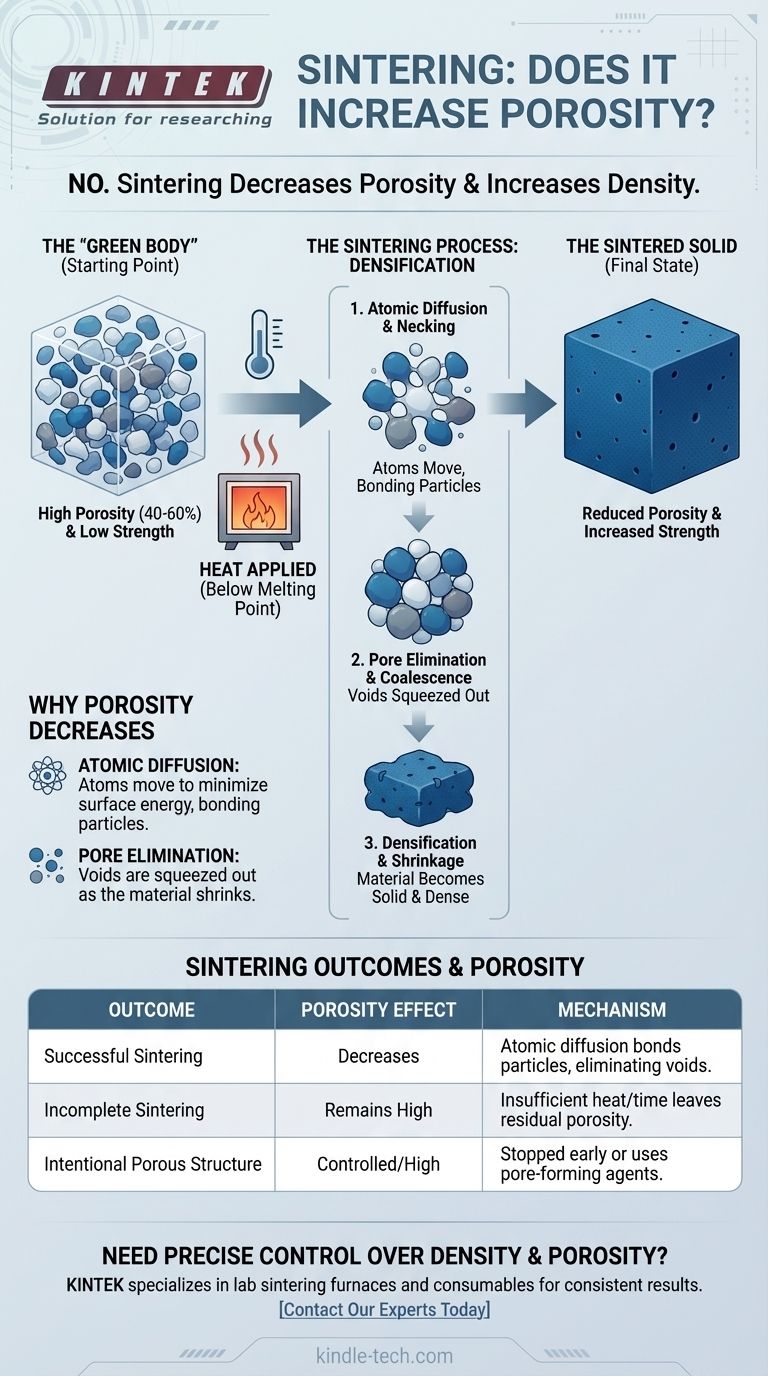 La sinterizzazione aumenta la porosità? Come controllare la porosità per materiali più resistenti Guida Visiva