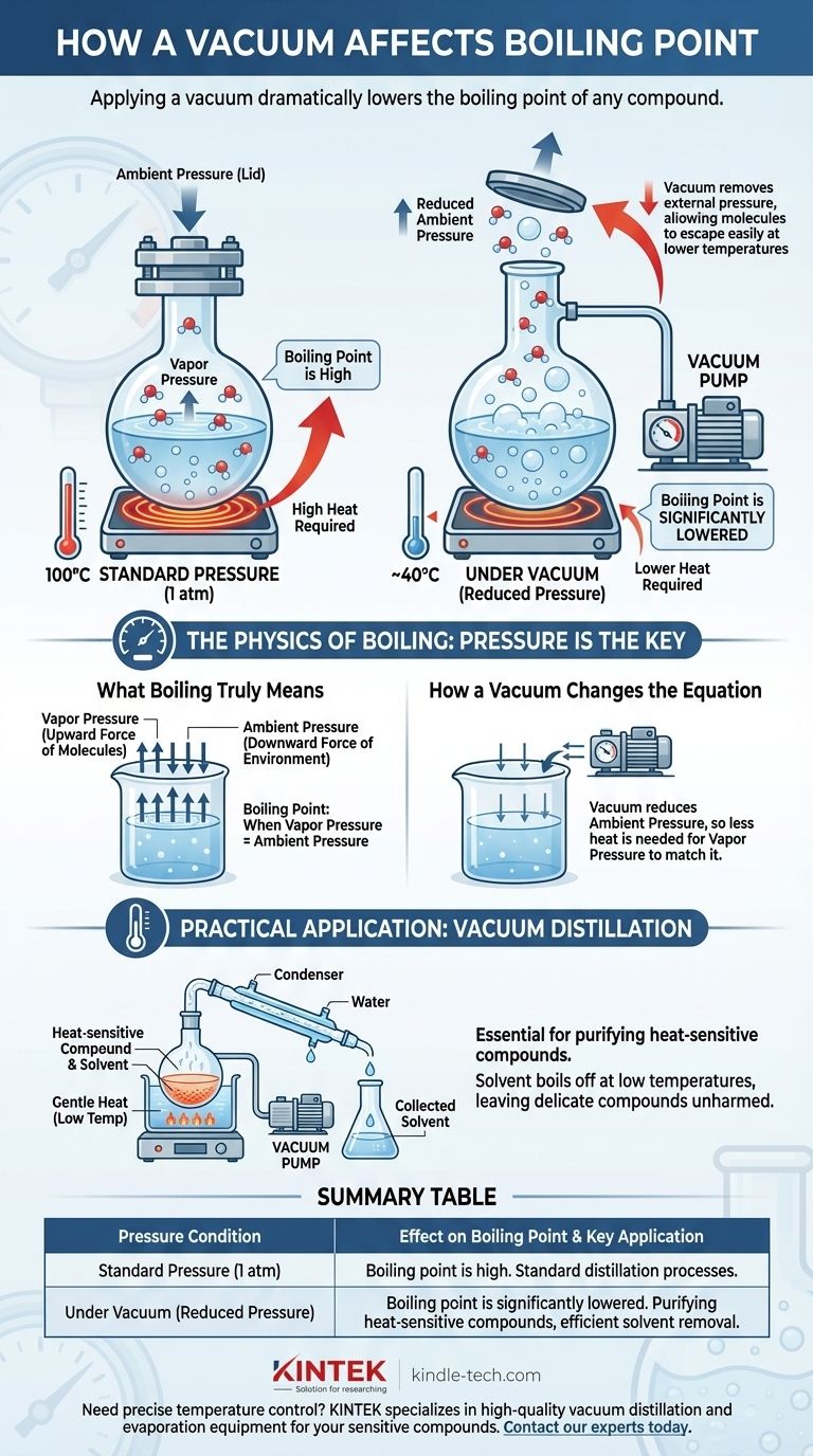 Como o vácuo afetaria o ponto de ebulição de um composto? Pontos de Ebulição Mais Baixos para um Processamento Mais Seguro e Eficiente Guia Visual