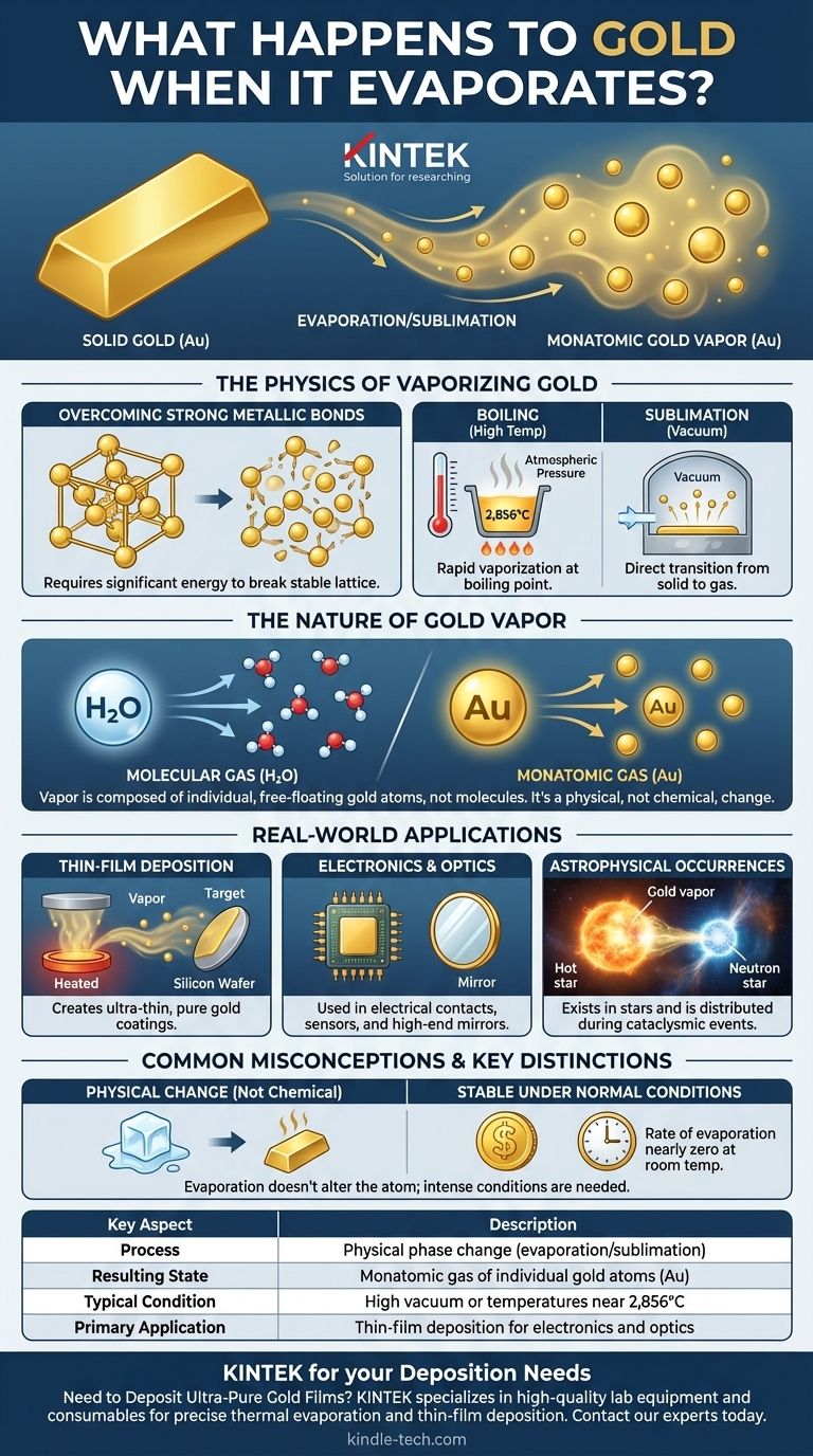 ماذا يحدث للذهب عندما يتبخر؟ يصبح غازًا أحادي الذرة لتقنيات متقدمة دليل مرئي
