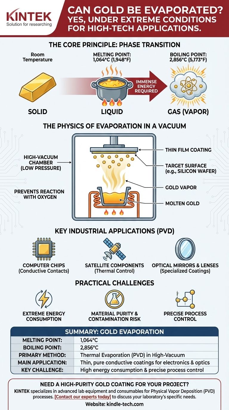 ¿Se puede evaporar el oro? Desbloqueando la deposición de películas delgadas de alta pureza Guía Visual