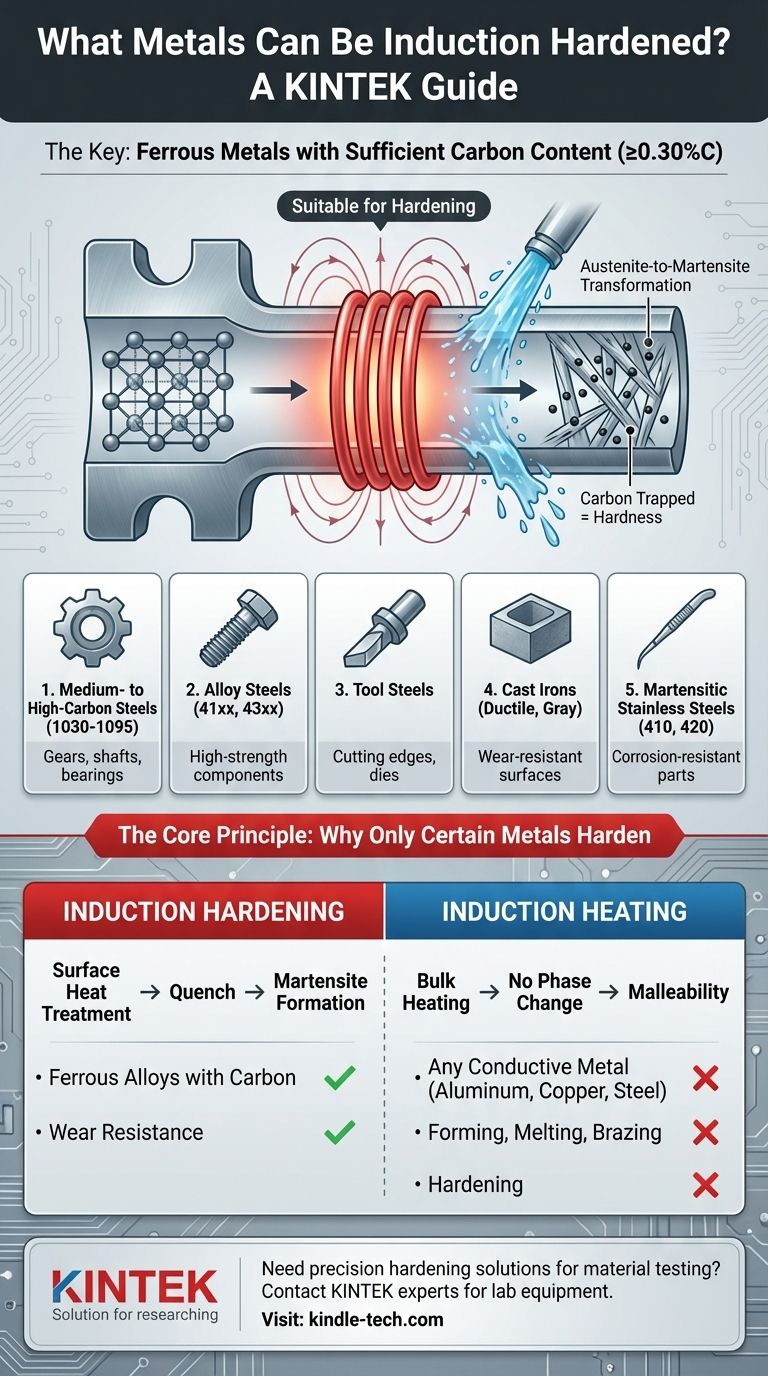 誘導焼き入れが可能な金属は？鉄合金と炭素含有量に関するガイド ビジュアルガイド