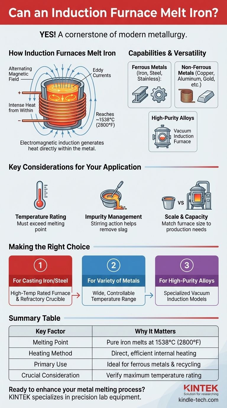 유도로는 철을 녹일 수 있습니까? 철 및 합금의 고효율, 청정 용융 잠금 해제 시각적 가이드