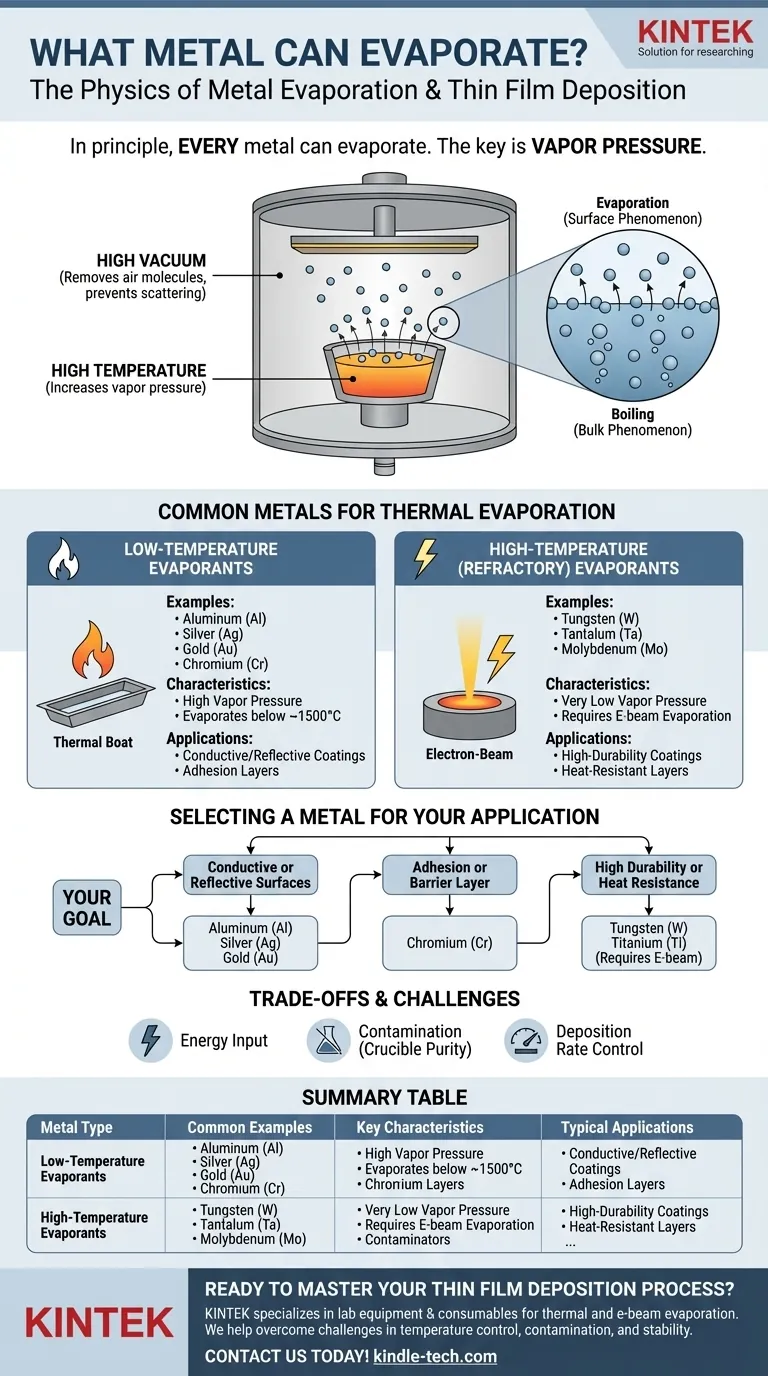 Quale metallo può evaporare? Una guida alla pressione di vapore e alla deposizione di film sottili Guida Visiva