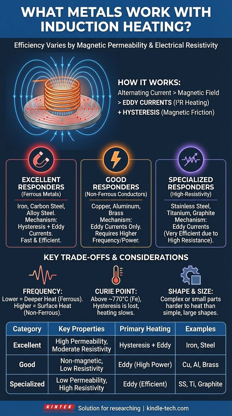 Quels métaux fonctionnent avec le chauffage par induction ? Comprendre les propriétés magnétiques et électriques pour un chauffage efficace Guide Visuel