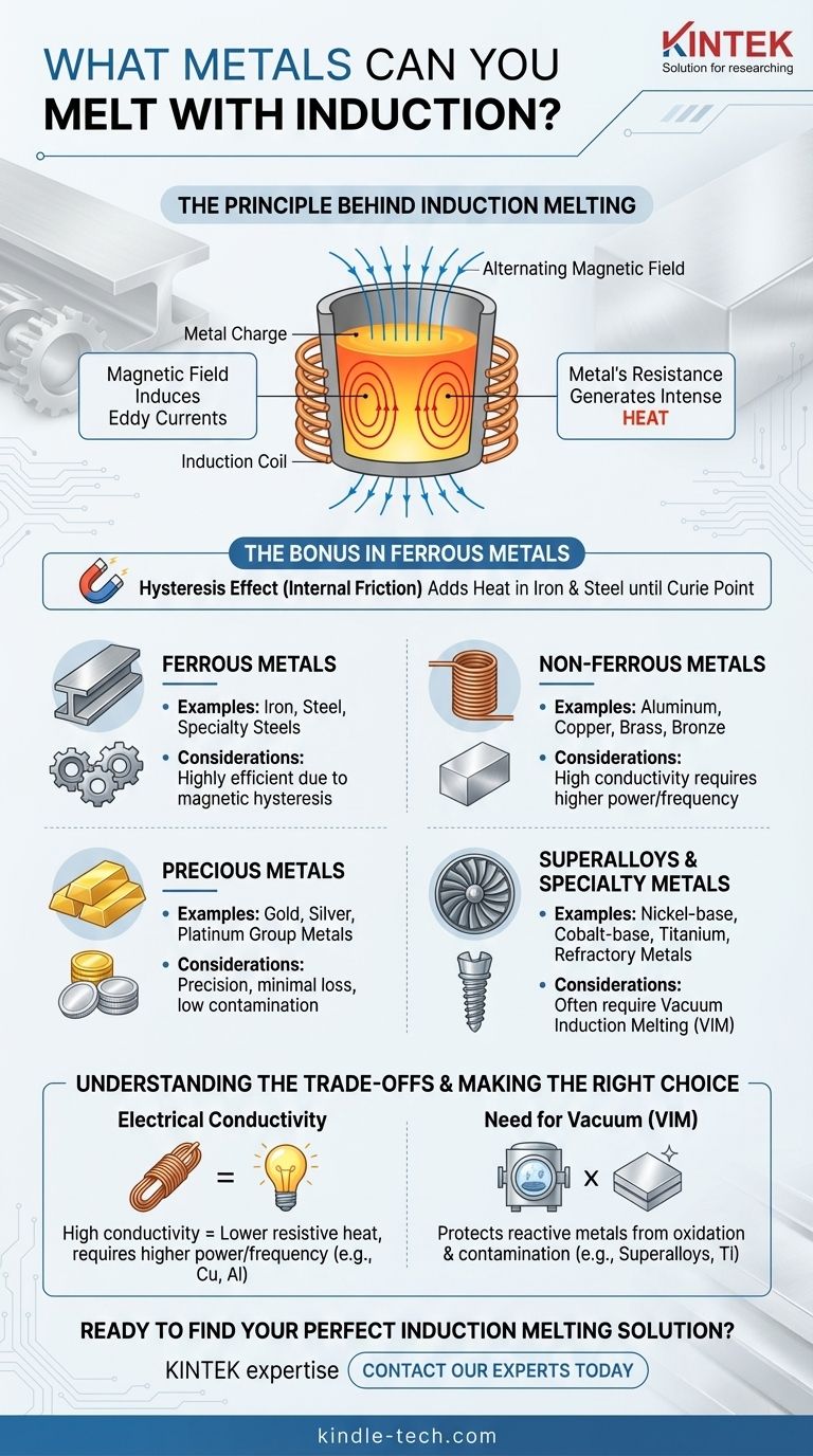 感应熔炼可以熔化哪些金属？探索可熔化金属的完整范围 图解指南