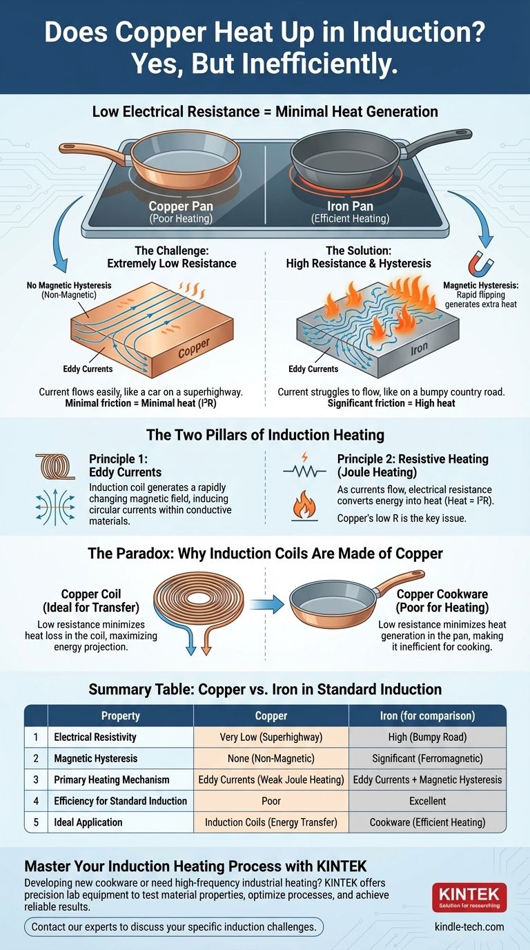 Erhitzt sich Kupfer bei Induktion? Die überraschende Wahrheit über das Erhitzen von Nichteisenmetallen Visuelle Anleitung