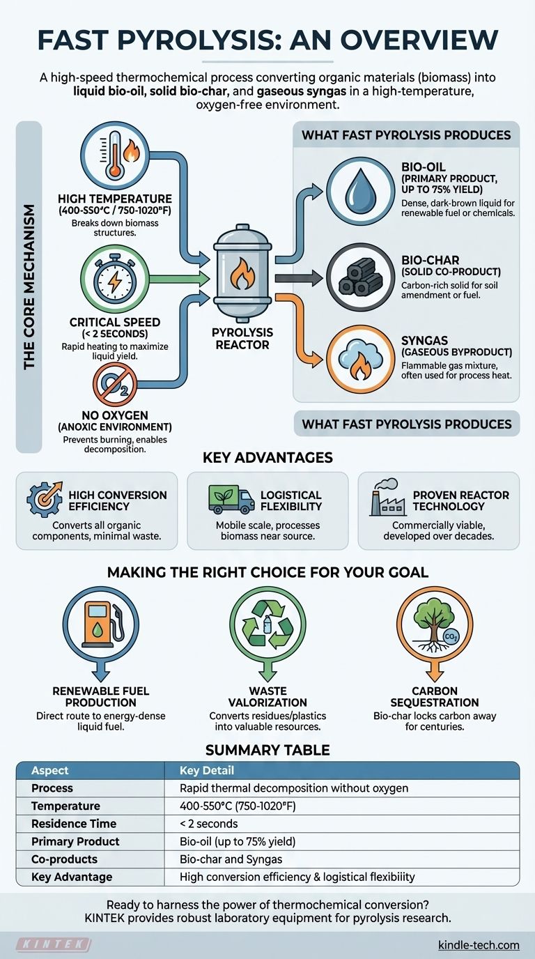What is fast pyrolysis an overview? A Rapid Process for Converting Biomass to Bio-Oil Visual Guide