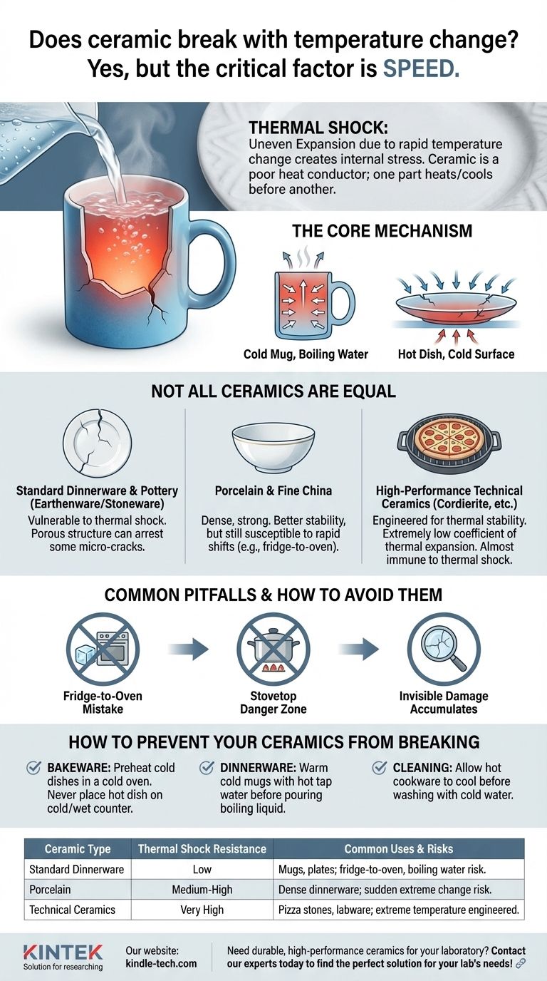 La céramique se brise-t-elle avec les changements de température ? Le rôle critique du choc thermique expliqué Guide Visuel