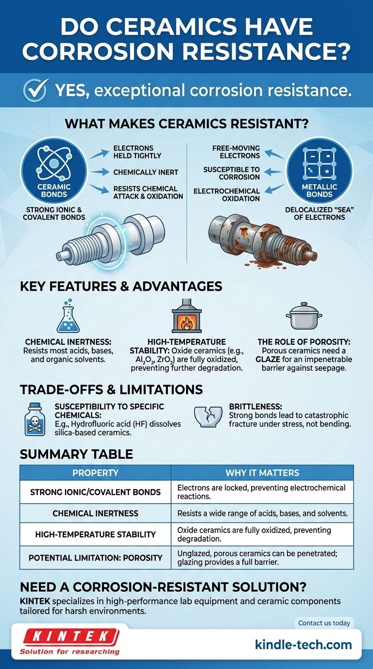 陶瓷有耐腐蚀性吗？利用其惰性特点应对严苛应用 图解指南