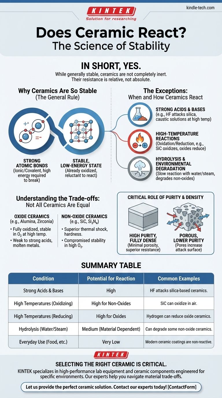 陶瓷会与任何物质发生反应吗？揭示化学惰性的极限 图解指南