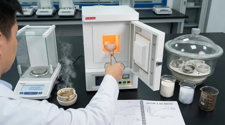 ¿Por qué es importante conocer el contenido de humedad y cenizas? Métricas esenciales para la calidad y el valor del material