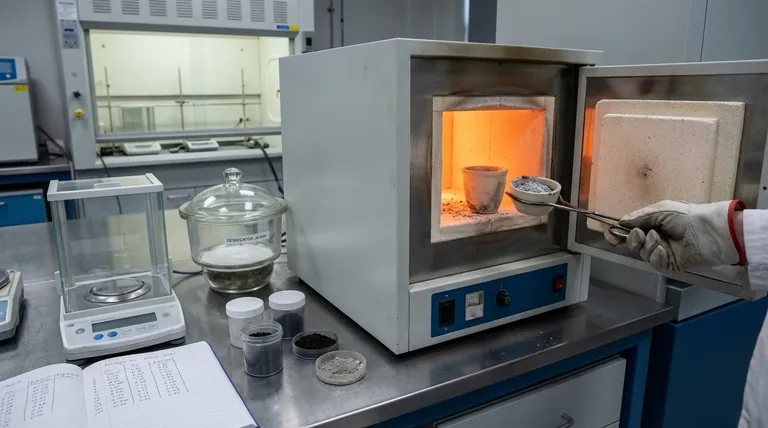 لماذا نحدد محتوى الرماد في الفحم؟ اكشف عن قيمته الحقيقية للطاقة وتجنب التوقف المكلف للعمليات