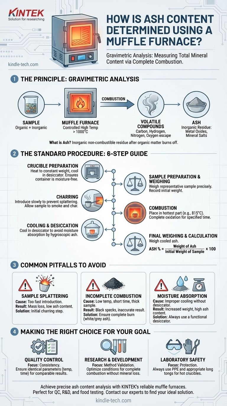 ¿Cómo se determina el contenido de cenizas utilizando un horno de mufla? Logre un análisis mineral preciso Guía Visual