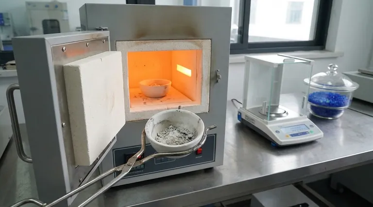 كيف يتم تحديد محتوى الرماد باستخدام فرن الكتم؟ تحقيق تحليل دقيق للمعادن