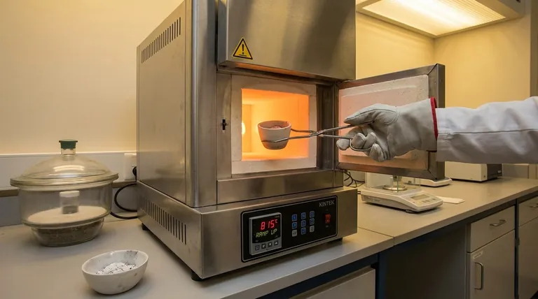 Qual é o método de incineração em forno mufla? Um guia para análise precisa de amostras