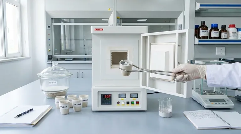 Qual è la parte più cruciale nella determinazione del contenuto di ceneri? La chiave per risultati accurati e ripetibili