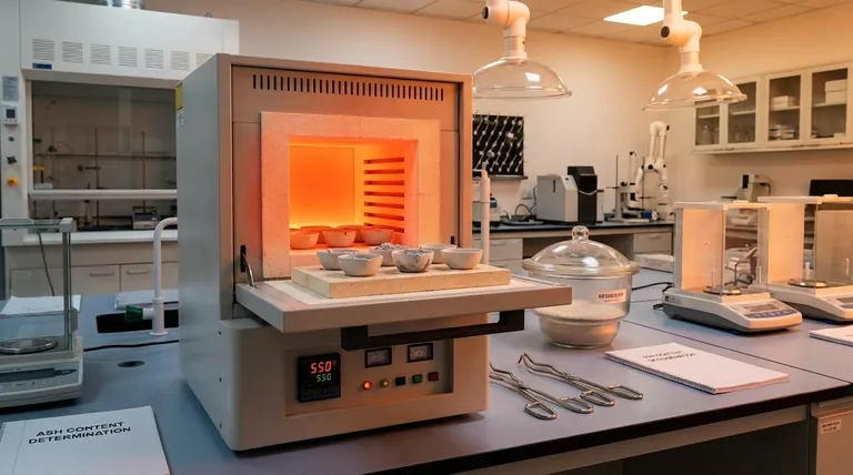 Qual é a temperatura necessária para a determinação do teor de cinzas? Obtenha Análise Mineral Precisa em Seu Laboratório