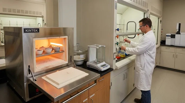 ما هي الأنواع المختلفة لتحليل الرماد؟ شرح طرق التكليس الجاف مقابل التكليس الرطب