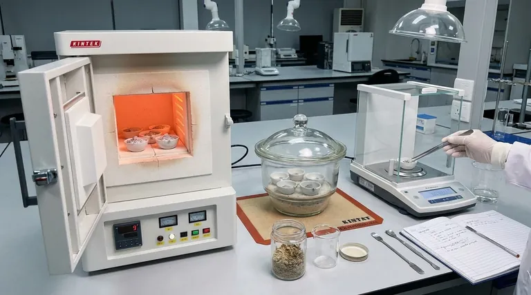 Qual é o método de análise para teor de cinzas? Um Guia Passo a Passo para Análise Gravimétrica