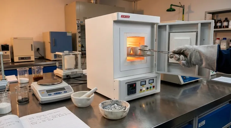 灰分は何によって決まるのか？材料のミネラル含有量に影響を与える主要な要因を理解しましょう。