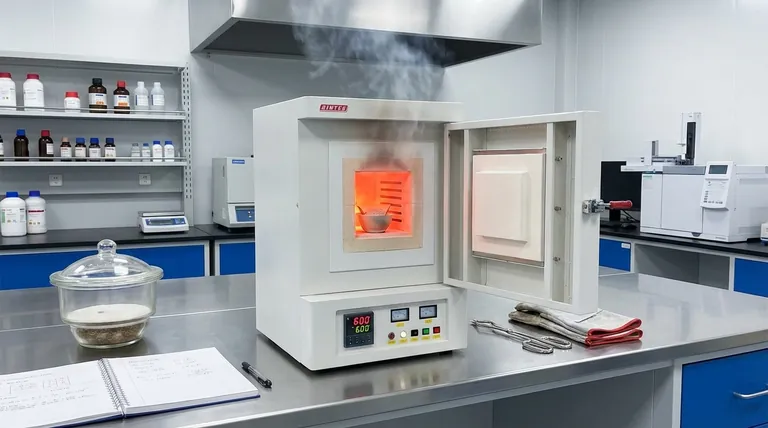 Каково назначение муфельной печи для озоления? Выделение неорганического содержимого для точного анализа