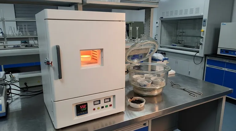 Qual é a temperatura para o teste de cinzas? Um Guia para Análise Precisa de Materiais