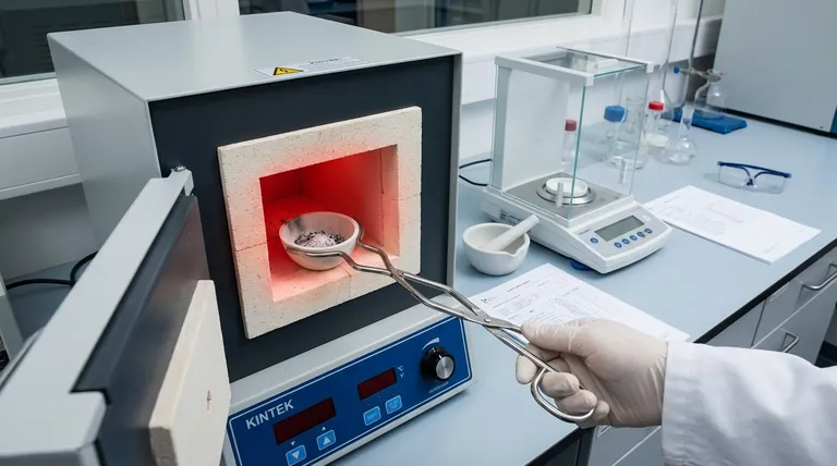 Cosa indica il contenuto di ceneri? Una chiave per la composizione del materiale e il controllo qualità