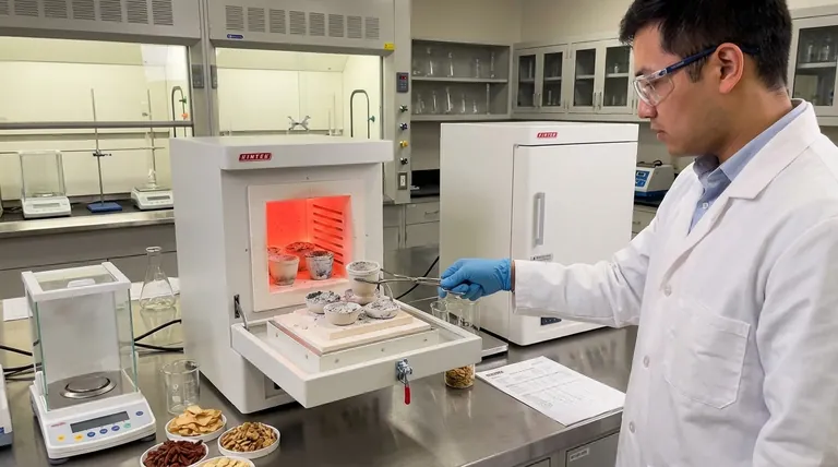 Perché determiniamo le ceneri negli alimenti? Una chiave per qualità, nutrizione e sicurezza