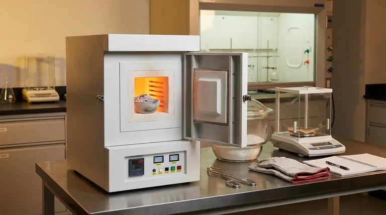 Welche Methode wird zur Bestimmung des Aschegehalts von Fischprodukten verwendet? Ein Leitfaden für eine genaue Mineralstoffanalyse