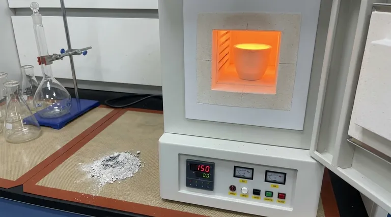 Was beeinflusst den Aschegehalt? Entdecken Sie die Schlüsselfaktoren bei der Materialanalyse