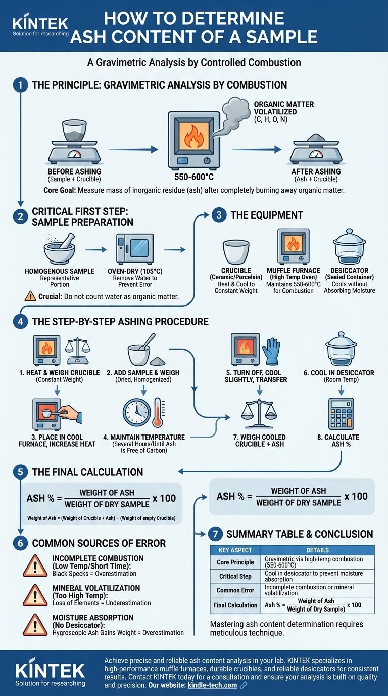 Comment déterminer la teneur en cendres d'un échantillon ? Un guide étape par étape pour une analyse minérale précise Guide Visuel