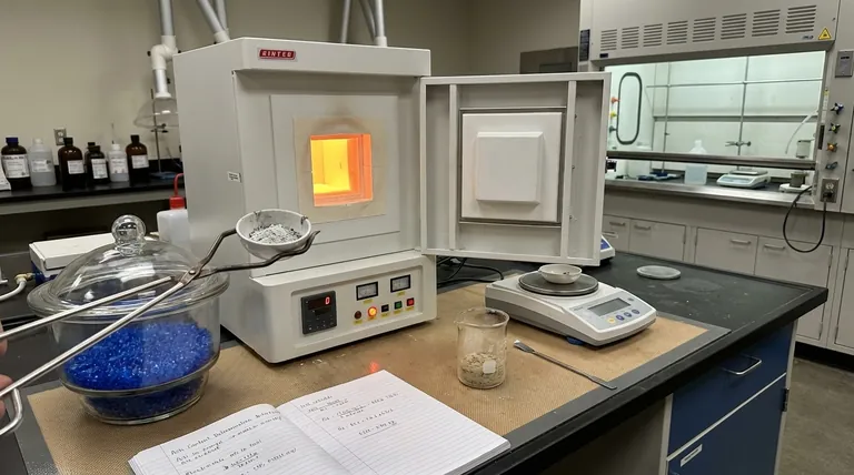 如何测定样品的灰分含量?精确矿物分析的分步指南