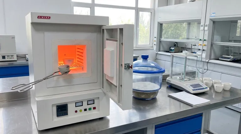 Qual è lo strumento utilizzato per misurare il contenuto di ceneri? Il ruolo essenziale del forno a muffola