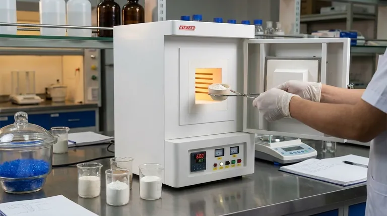 Perché la determinazione del contenuto di ceneri viene utilizzata come misura di qualità per l'estrazione della farina? Una guida alla purezza e alle prestazioni