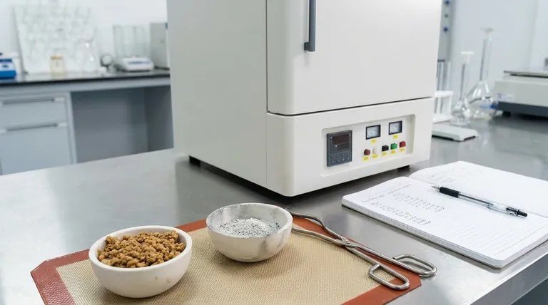 Welche Nährstoffkomponente wird durch den Aschegehalt gemessen? Der Schlüssel zur gesamten Mineralanalyse