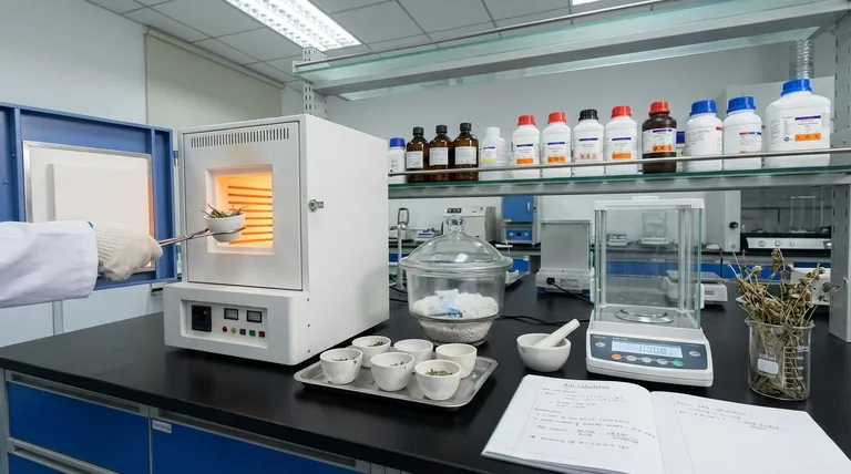 Como determinar o teor de cinzas de uma amostra de planta? Um Guia Passo a Passo para Análise Mineral