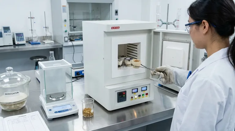 Come si determina il contenuto di ceneri per un dato campione alimentare? Una guida all'analisi minerale accurata