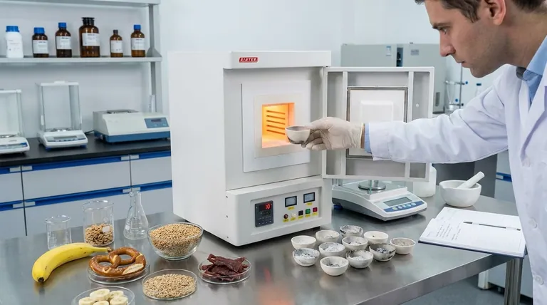 ما هو المحتوى القياسي للرماد في الغذاء؟ اكتشف مراقبة الجودة والرؤى الغذائية