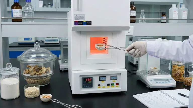 Wie bestimmt man den Gesamtaschegehalt in Lebensmitteln? Ein Leitfaden zur genauen Mineralanalyse