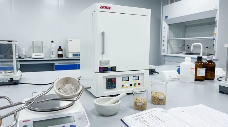 Por que é importante determinar o teor de cinzas dos alimentos? Garanta Qualidade, Nutrição e Autenticidade