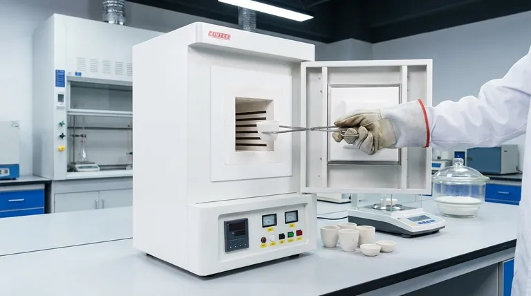 Welches Instrument wird zur Aschebestimmung verwendet? Wählen Sie das richtige Werkzeug für genaue Ergebnisse