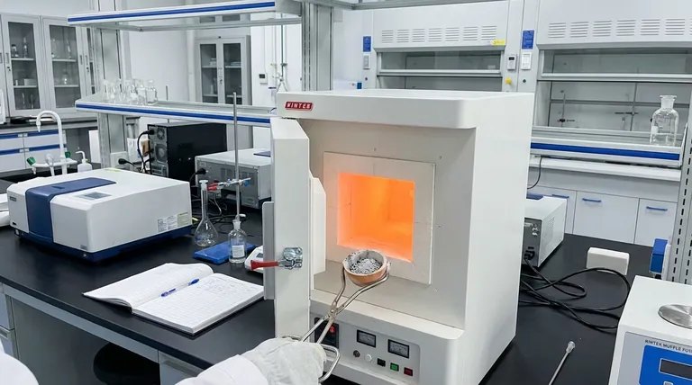 Was ist die Anwendung der Veraschung? Ein Leitfaden zur Analyse des Mineralstoffgehalts