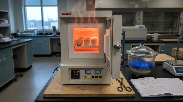 Quelle est la température du four à incinération ? Obtenez une analyse minérale précise à 815°C