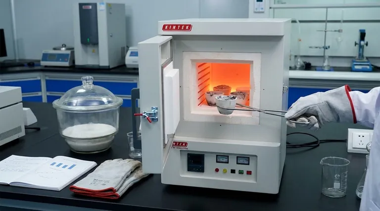 Come si incenerisce un campione? Scegliere il metodo giusto per un'analisi inorganica accurata