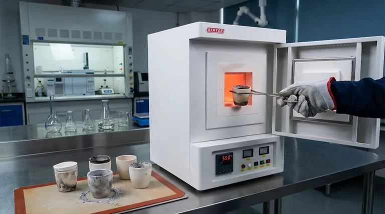 건식 회화법의 응용 분야는 무엇인가요? 무기질 함량 분석 가이드